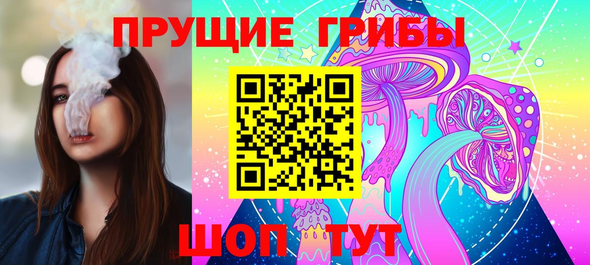 Боровичи  Псилоцибиновые грибы MAGIC MUSHROOMS  Вход с VPN 